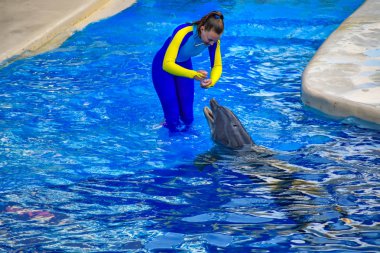 Orlando, Florida. 25 Aralık 2018 . Seaworld mavi su üzerinde özel düdük ile Koç eğitim yunus ... J