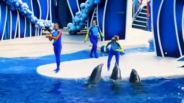 Orlando Florida Febbraio 2019 Delfini Nel Colorato Spettacolo Dolphin Day — Video Stock