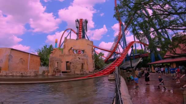 Tampa Körfezi Florida Nisan 2019 Sheikra Rollercoaster Busch Gardens Lightblue — Stok video