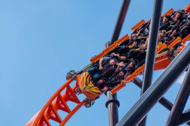 Tampa Körfezi, Florida. 30 Nisan 2019 . Busch Gardens'da Dicle rollercoaster'ın tadını çıkaran lar (1)