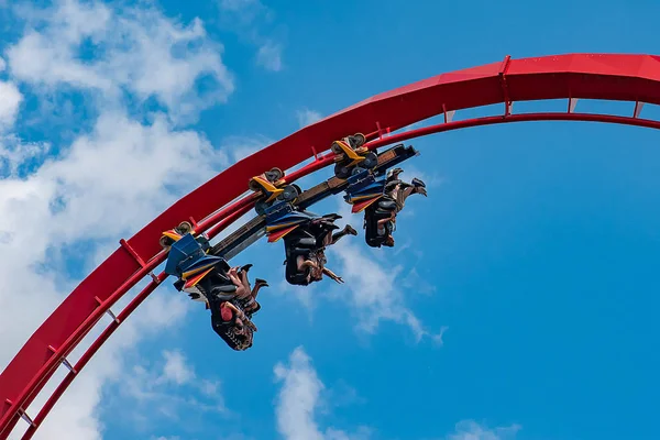 Tampa Körfezi, Florida. 30 Nisan 2019 . İnsanlar Busch Gardens (8) eğlenceli inanılmaz Sheikra rollercoaster sahip)