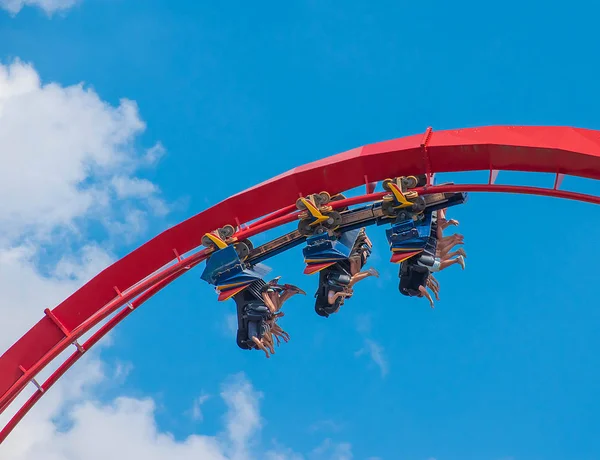 Tampa Körfezi, Florida. 30 Nisan 2019 . İnsanlar Busch Gardens (9) de eğlenceli inanılmaz Sheikra rollercoaster sahip)