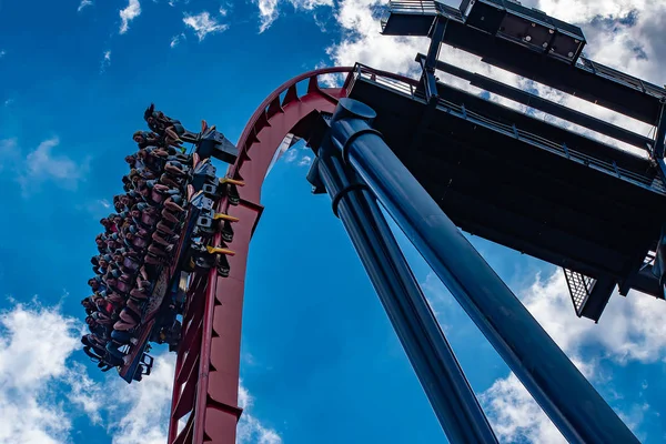 Tampa Körfezi, Florida. 30 Nisan 2019 . İnsanlar Busch Gardens (12) müthiş Sheikra rollercoaster zevk).
