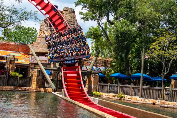 Tampa Körfezi, Florida. 30 Nisan 2019 . İnsanlar Busch Gardens (10) müthiş Sheikra rollercoaster zevk).