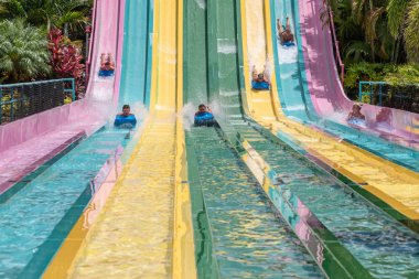 Orlando, Florida. 01 Temmuz 2019. Aquatica 8 tamauta Racer şaşırtıcı dik tepeye aşağı kayan insanlar