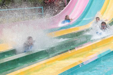 Orlando, Florida. 01 Temmuz 2019. Aquatica 8 tamauta Racer cazibe inanılmaz sıçrama zevk Kişi