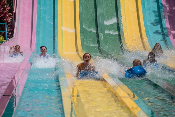 Orlando, Florida. 01 Temmuz 2019. Aquatica 13 tamauta Racer şaşırtıcı dik tepeye aşağı kayan insanlar