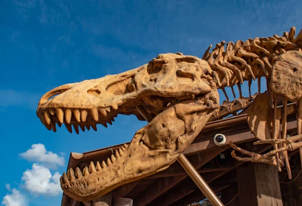 フロリダ州オーランド2019年6月15日ブエナビスタ湖のディズニースプリングスの恐竜の骨格のトップビュー — ストック写真