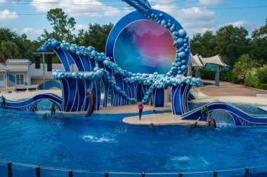 Orlando, Florida. 23 Haziran 2019. Seaworld 5'te Electric Ocean'ın Touch the Sky Show'una atlayan yunus