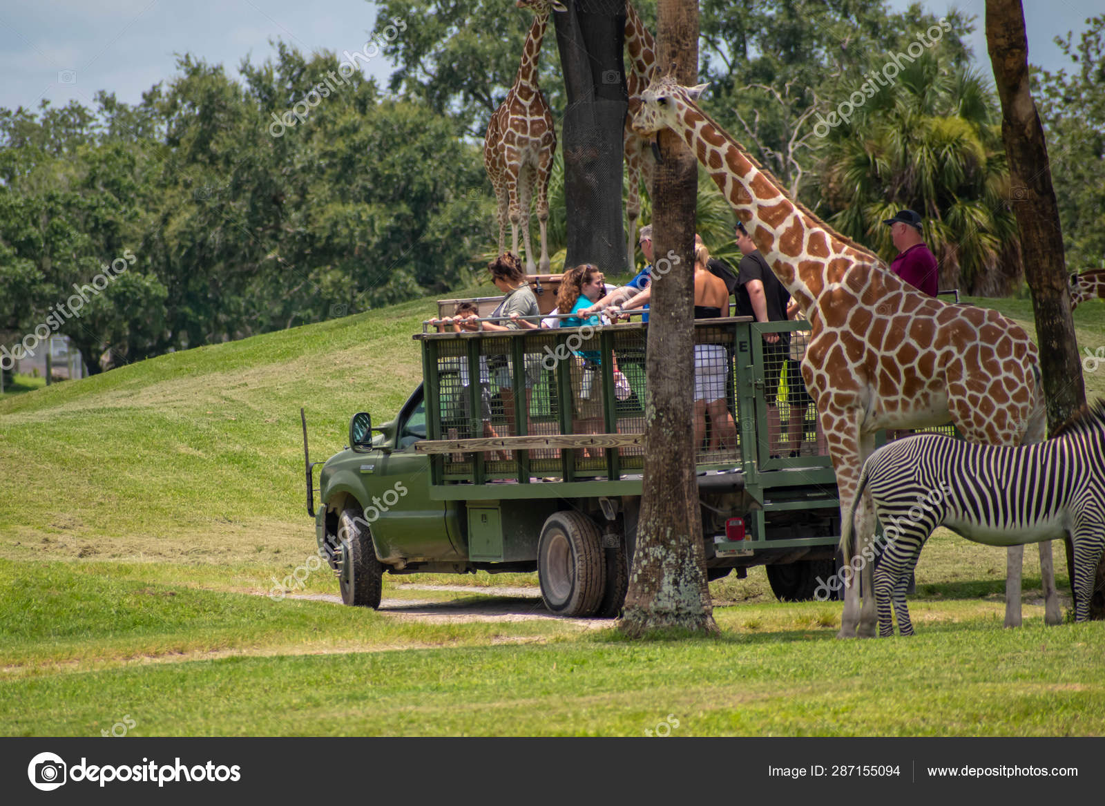 Tampa Bay Florida Juli 2019 Safari Truck Entfernt Sich Von