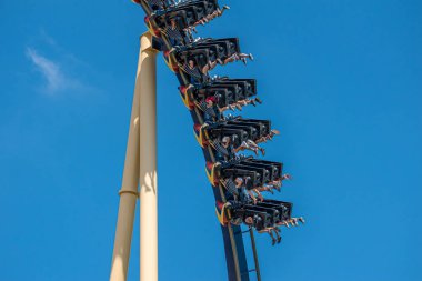 Tampa Körfezi, Florida. 12 Temmuz 2019. İnsanlar Busch Bahçeleri 'nde eğlenceli müthiş montu Rollercoaster sahip (15)
