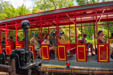 Tampa Körfezi, Florida. 12 Temmuz 2019. Busch Bahçeleri 'nde yeşil orman arka planda serengetti ekspres tren (5)