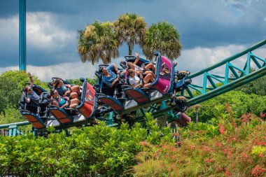 Tampa Körfezi, Florida. İnsanlar var eğlenceli harika Cobras Curse at Busch Bahçeleri (1).