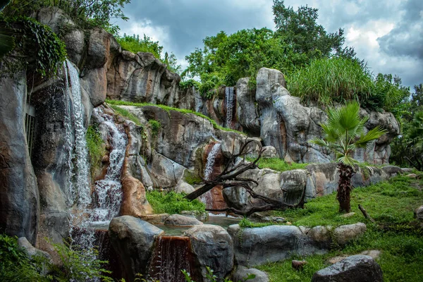 Tampa Bay Florida Julio 2019 Vista Panorámica Hermosa Cascada Busch —  Fotos de Stock