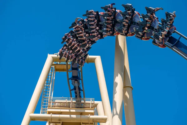 Tampa Bay Florida July 2019 People Having Fun Terrific Montu — Stock Photo, Image