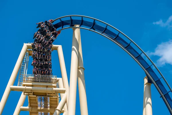 Tampa Bay Florida Julio 2019 Personas Que Divierten Fabulosa Montaña — Foto de Stock