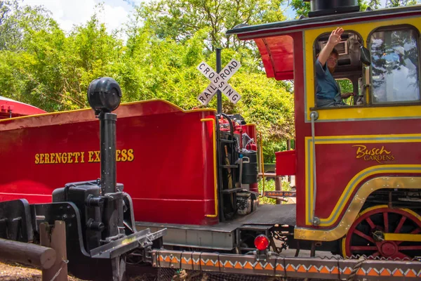 Tampa Bay Florida Luglio 2019 Treno Serengetti Express Sfondo Verde — Foto Stock
