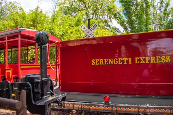 Tampa Bay Floride Juillet 2019 Train Serengetti Express Sur Fond — Photo