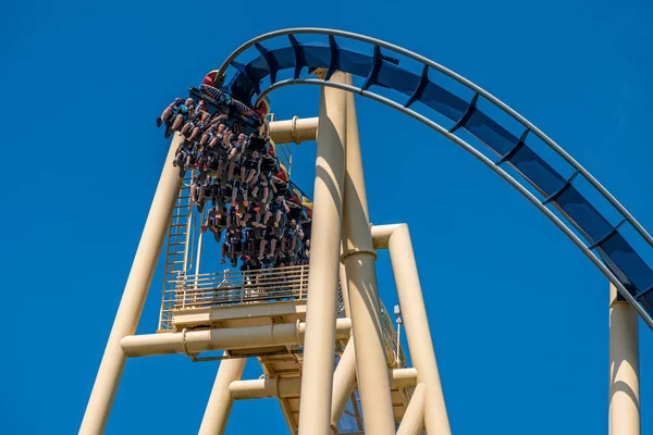 Tampa Bay Florida July 2019 Top View People Enjoying Montu — Stock Photo, Image