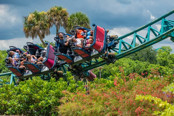 Tampa Bay Florida Gente Divierte Terriblemente Cobras Maldición Busch Gardens — Foto de Stock