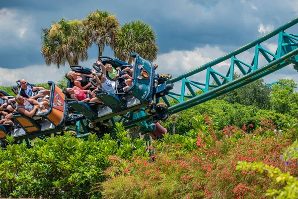 Tampa Bay Florida Gente Divierte Terriblemente Cobras Maldición Busch Gardens — Foto de Stock