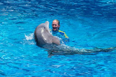 Orlando, Florida 'da. 18 Temmuz 2019. SeaWorld 5 ' de yunus ile kadın eğitmen Yüzme