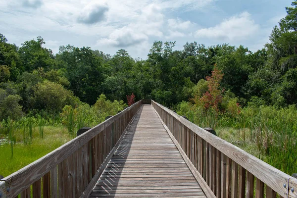 Orlando Floride Juillet 2019 Belle Vue Sur Jetée Forêt Verte — Photo