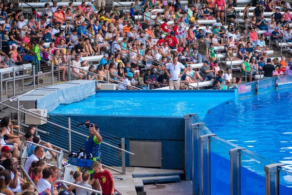 Orlando Florida July 2019 People Enjoying One Ocean Show Majestic — Stock Photo, Image