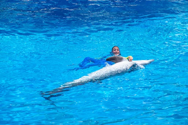 Орландо Флорида Июля 2019 Года Женщина Тренер Плаванию Дельфином Морском — стоковое фото