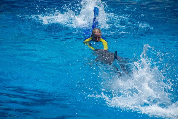 Orlando Florida July 2019 Woman Trainer Swimming Dolphin Seaworld — Stock Photo, Image