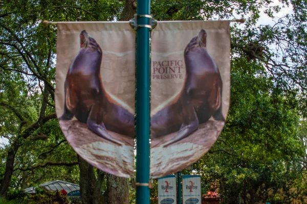Orlando Florida July 2019 Sea Lions Pacific Point Preserve Sign — Stock Photo, Image