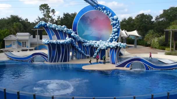奥兰多 佛罗里达州2019年7月20日 海豚在海洋世界跳跃 — 图库视频影像
