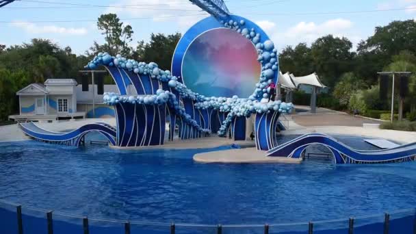 Orlando Florydzie Lipca 2019 Dolphin Skoki Pchanie Trener Seaworld — Wideo stockowe