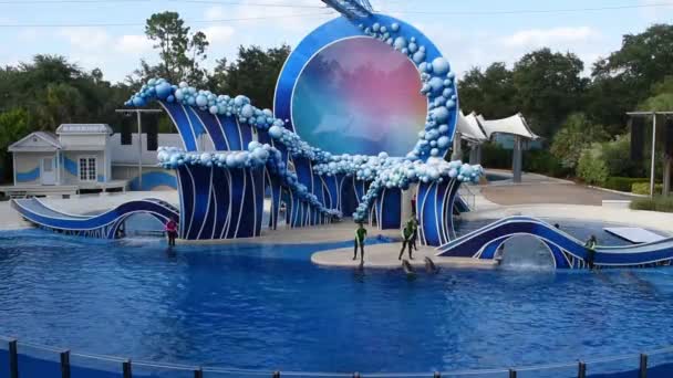 Orlando Florida Julio 2019 Delfines Saltando Seaworld — Vídeos de Stock