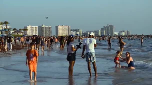 Παραλία Κλιαργουότερ Φλόριντα Ιουλίου 2019 Άτομα Που Περπατούν Και Απολαμβάνουν — Αρχείο Βίντεο