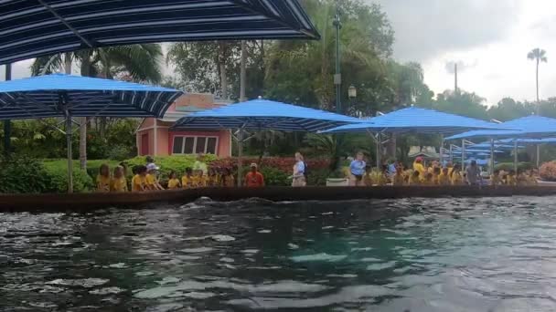Orlando Florida Juli 2019 Børn Camping Sommer Nyder Besøg Delfiner – Stock-video
