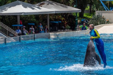 Orlando, Florida. 29 Temmuz 2019. Dolphin ve kadın eğitmen Seaworld Dolphin Days göstermek birlikte atlama (1).