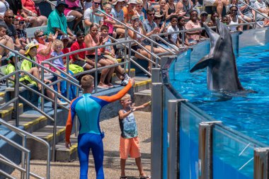 Orlando, Florida. 29 Temmuz 2019. Seaworld Yunus Günleri göstermek eğitmen ve küçük çocuk ile oynarken sevimli yunus (3).