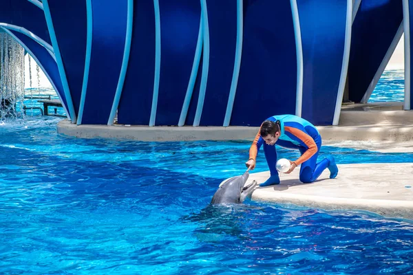 Orlando Florida Julio 2019 Entrenador Jugando Con Delfines Dolphin Days — Foto de Stock