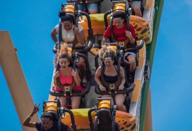 Tampa Körfezi, Florida. 08 Ağustos 2019. İnsanlar inanılmaz müthiş Çita Hunt rollercoaster lightblue bulutlu gökyüzü arka plan 75