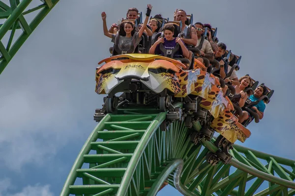 Tampa Bay Florida Agosto 2019 Persone Incredibili Formidabile Cheetah Hunt — Foto Stock