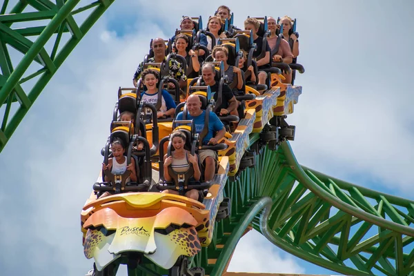 Tampa Bay Florida Augustus 2019 Mensen Geweldig Geweldig Cheetah Hunt — Stockfoto