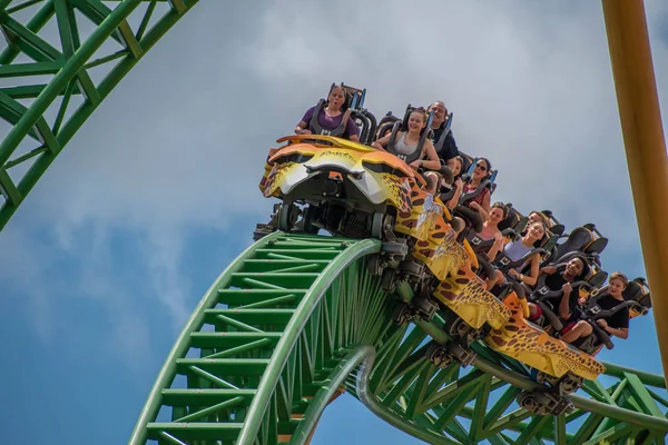 Tampa Bay Florida Augusti 2019 Människor Fantastiska Terrific Cheetah Hunt — Stockfoto