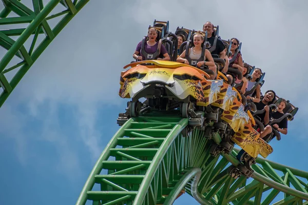 Tampa Bay Florida Augusti 2019 Människor Fantastiska Terrific Cheetah Hunt — Stockfoto