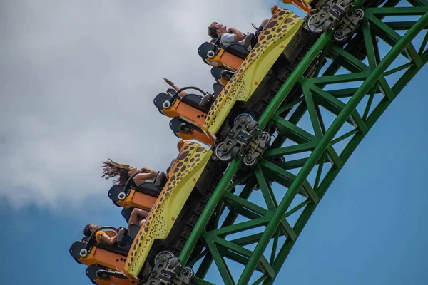 Tampa Bay Florida August 2019 Menschen Erstaunlich Grandiose Gepardenjagd Achterbahn — Stockfoto