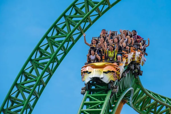 Tampa Bay Florida Augusti 2019 Människor Fantastiska Terrific Cheetah Hunt — Stockfoto