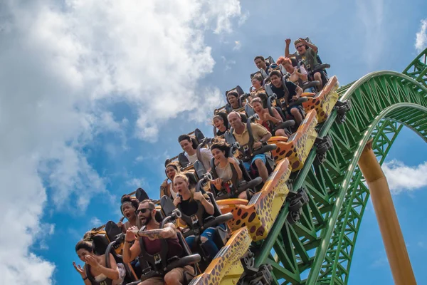 Tampa Bay Florida August 2019 People Enjoying Terrific Cheetah Hunt — Stock Photo, Image