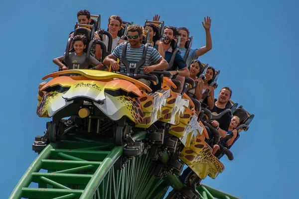 Tampa Bay Florida Agosto 2019 Pessoas Divertindo Incrível Cheetah Hunt — Fotografia de Stock