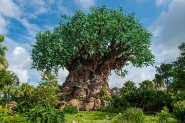 Orlando, Florida. 14 Ağustos 2019. . Walt Disney World bölgesinde Hayvanlar Aleminde Yaşam Ağacı'nın güzel görünümü (3)