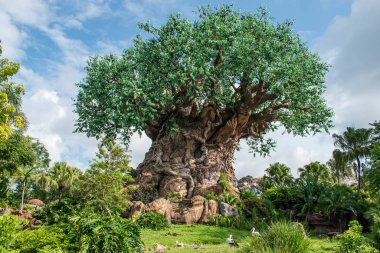 Orlando, Florida. 14 Ağustos 2019. . Walt Disney World bölgesinde Hayvanlar Aleminde Yaşam Ağacı'nın güzel görünümü (2).